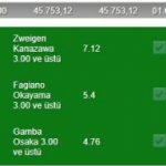 250 TL YATIRDI, 45 BİN TL KAZANDI